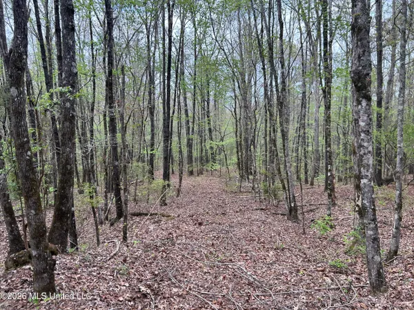 $309,900 | 1356 Jeff Dodd Road, West, MS 39192