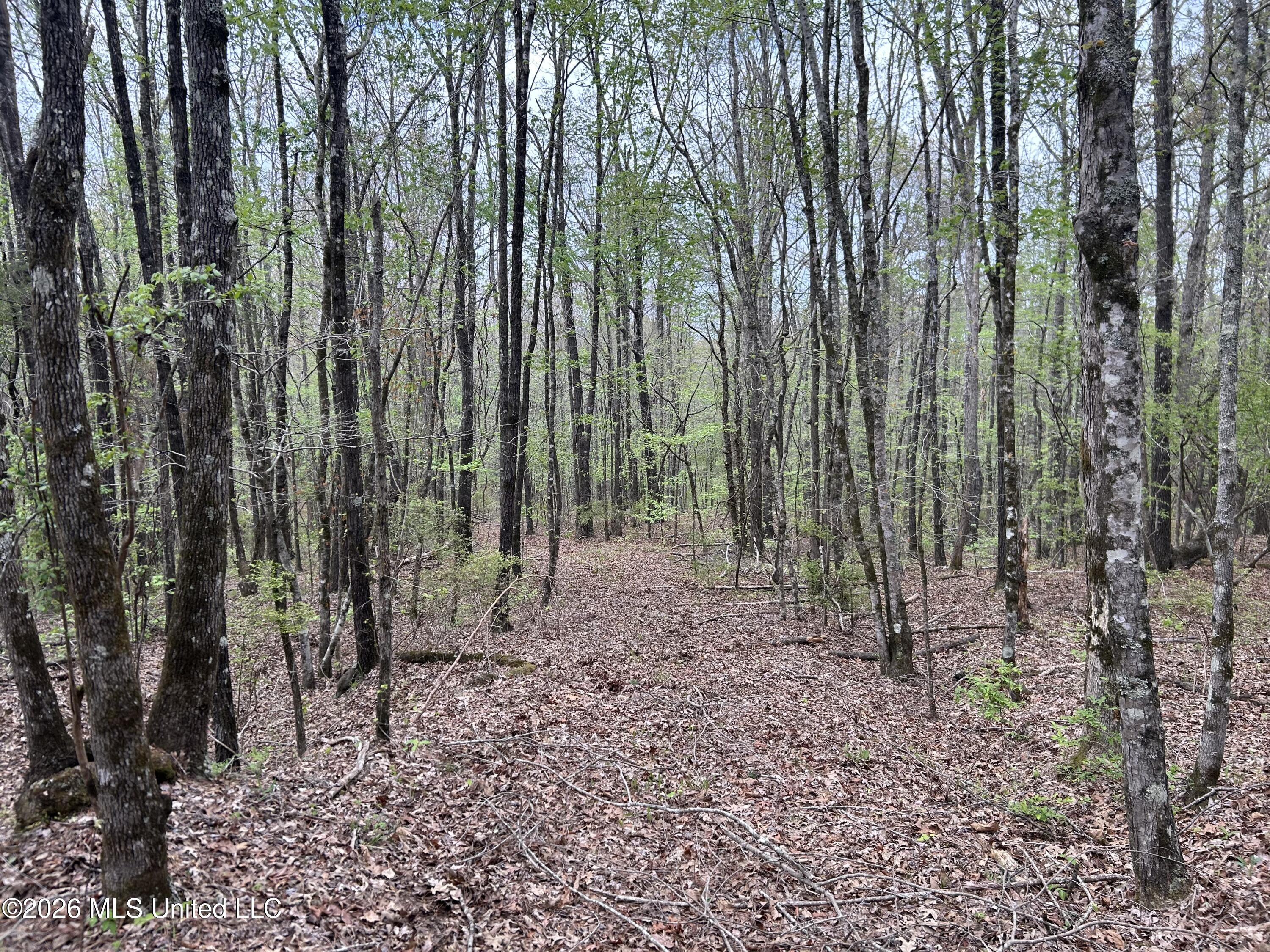 1356 Jeff Dodd Road West, MS 39192 - Photo 43 of 73 Photo Mar 27 2026, 2 46 00 PM