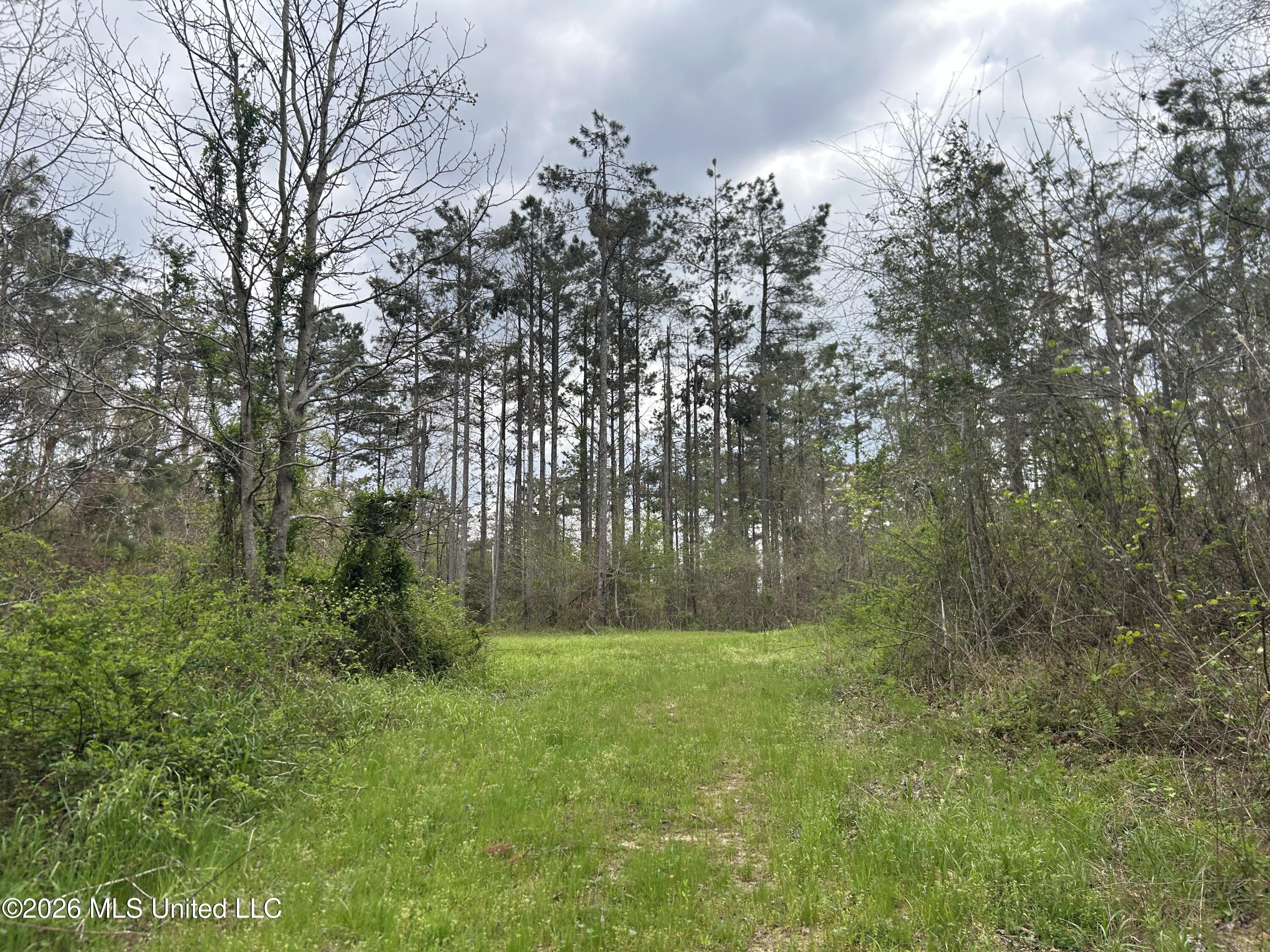 1356 Jeff Dodd Road West, MS 39192 - Photo 44 of 73 Photo Mar 27 2026, 2 52 55 PM