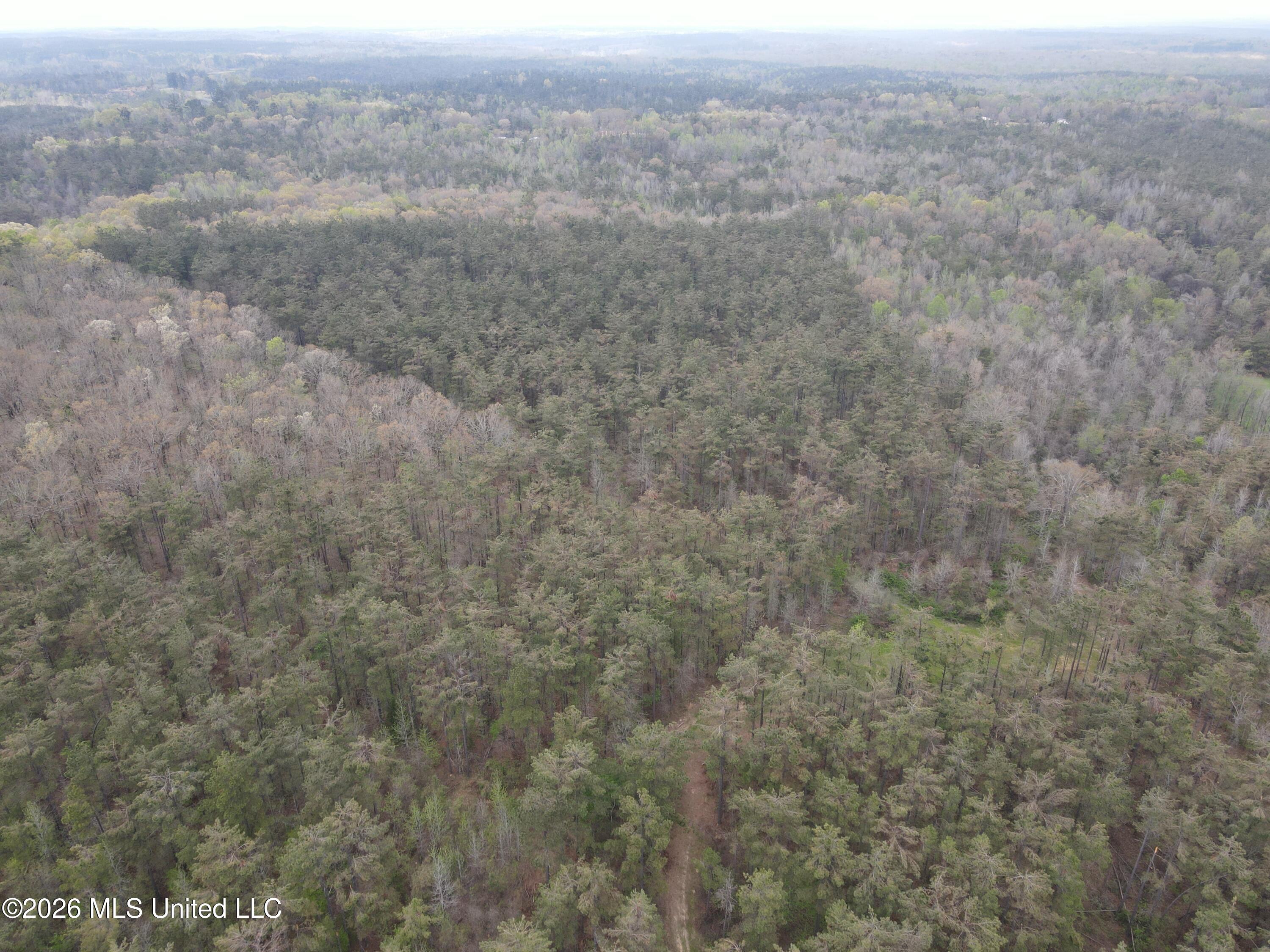 1356 Jeff Dodd Road West, MS 39192 - Photo 45 of 73 Photo Mar 27 2026, 3 13 40 PM