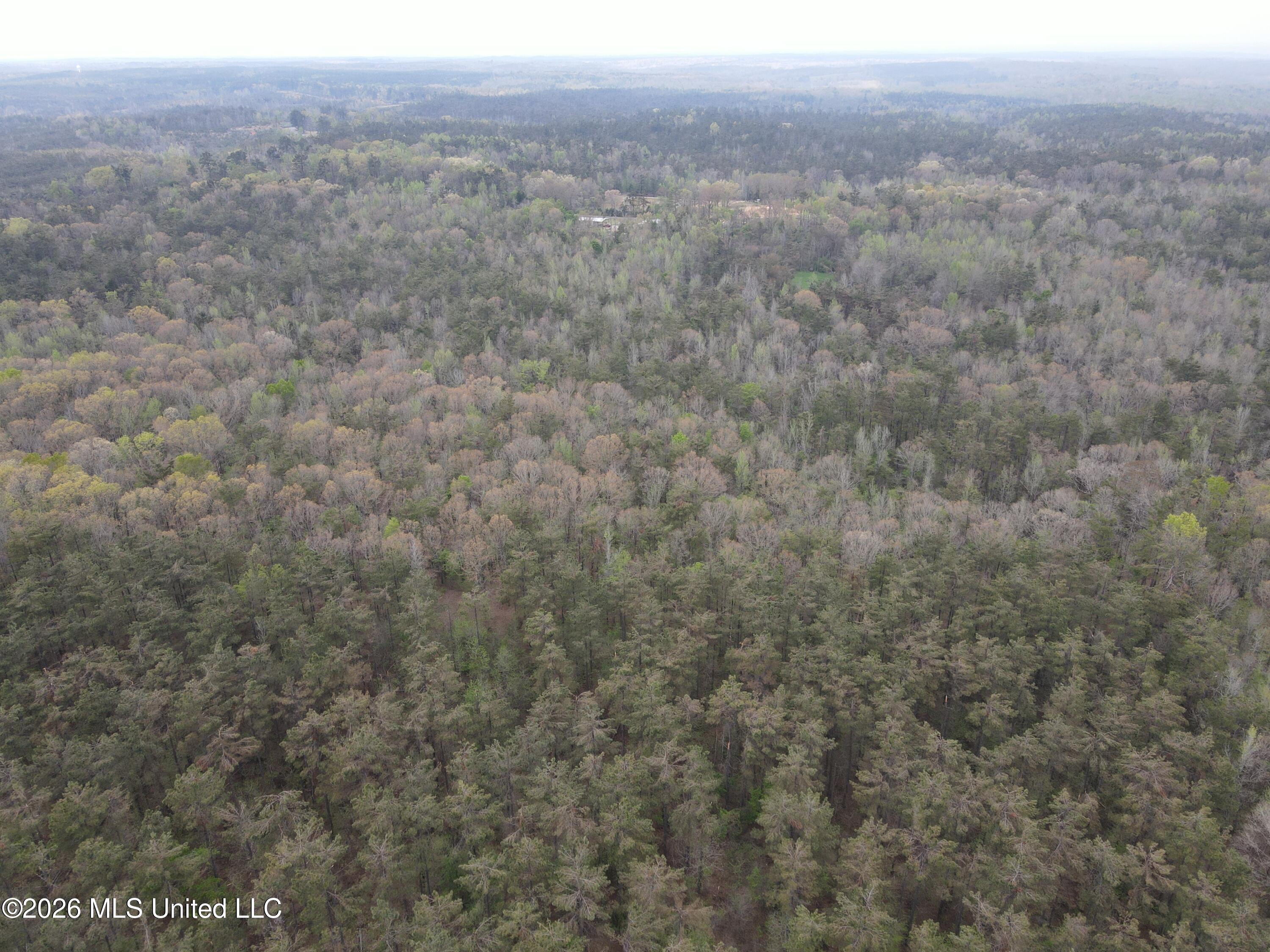 1356 Jeff Dodd Road West, MS 39192 - Photo 46 of 73 Photo Mar 27 2026, 3 14 18 PM