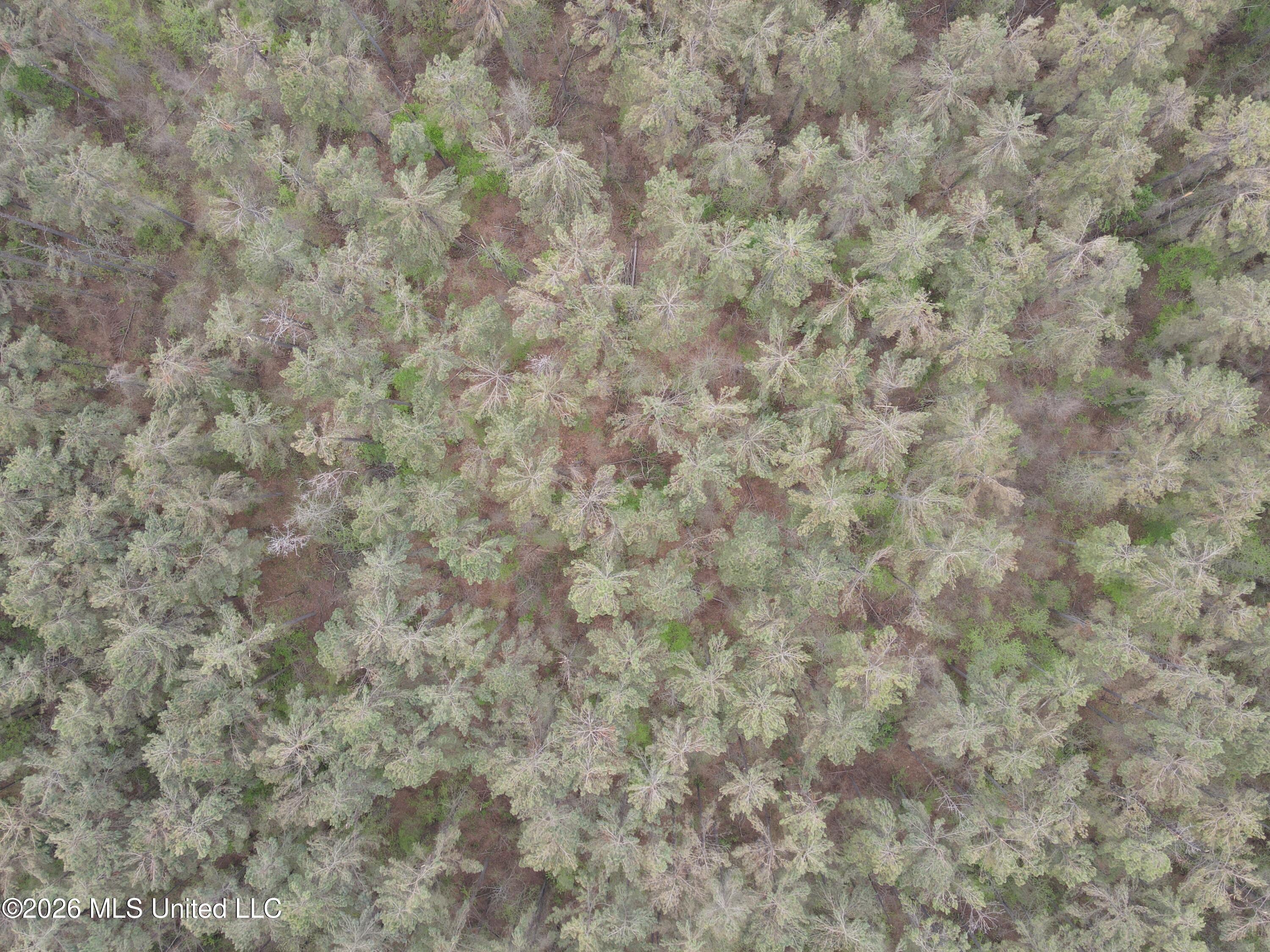 1356 Jeff Dodd Road West, MS 39192 - Photo 47 of 73 Photo Mar 27 2026, 3 14 28 PM