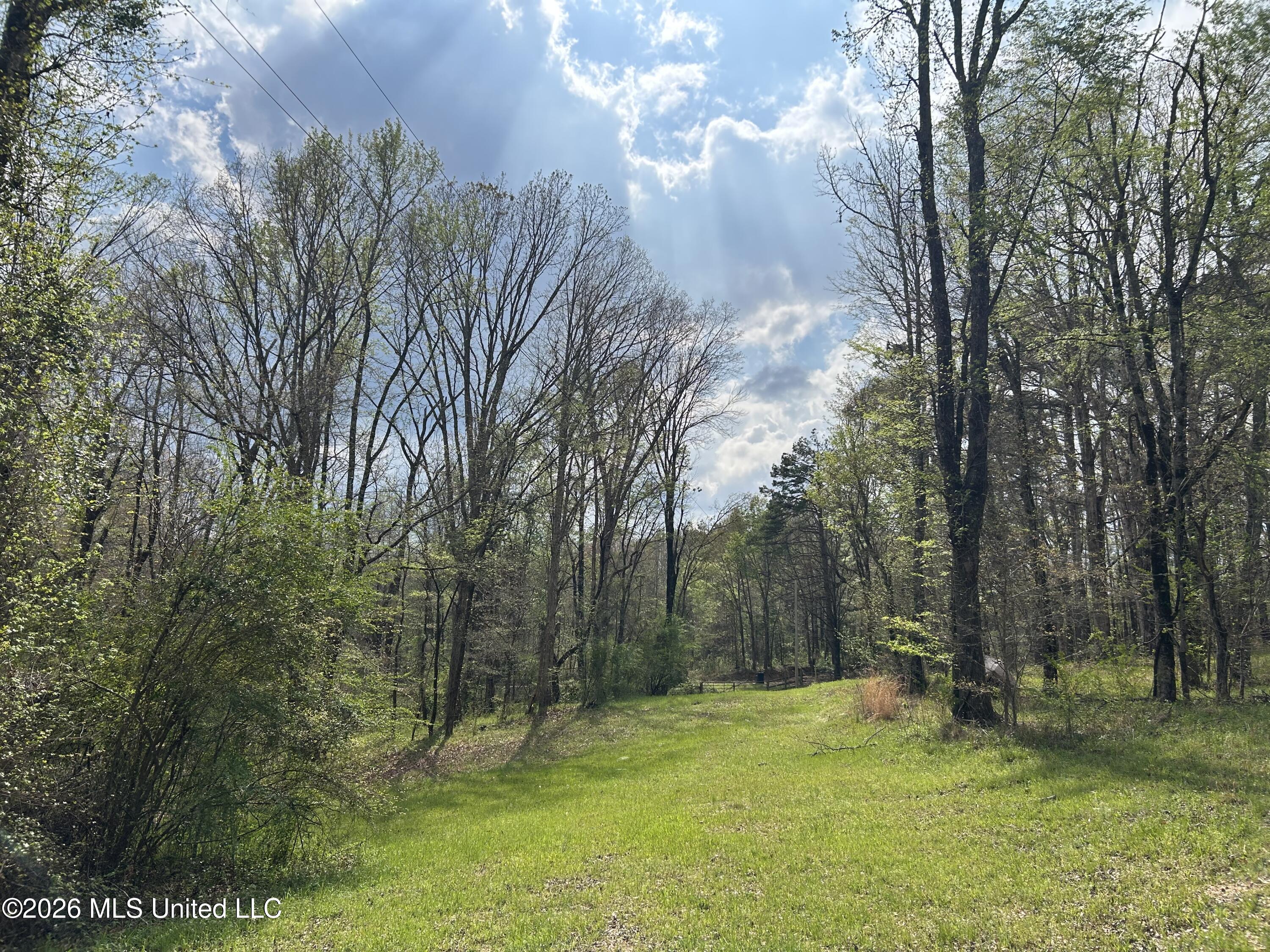 1356 Jeff Dodd Road West, MS 39192 - Photo 50 of 73 Photo Mar 27 2026, 3 27 58 PM