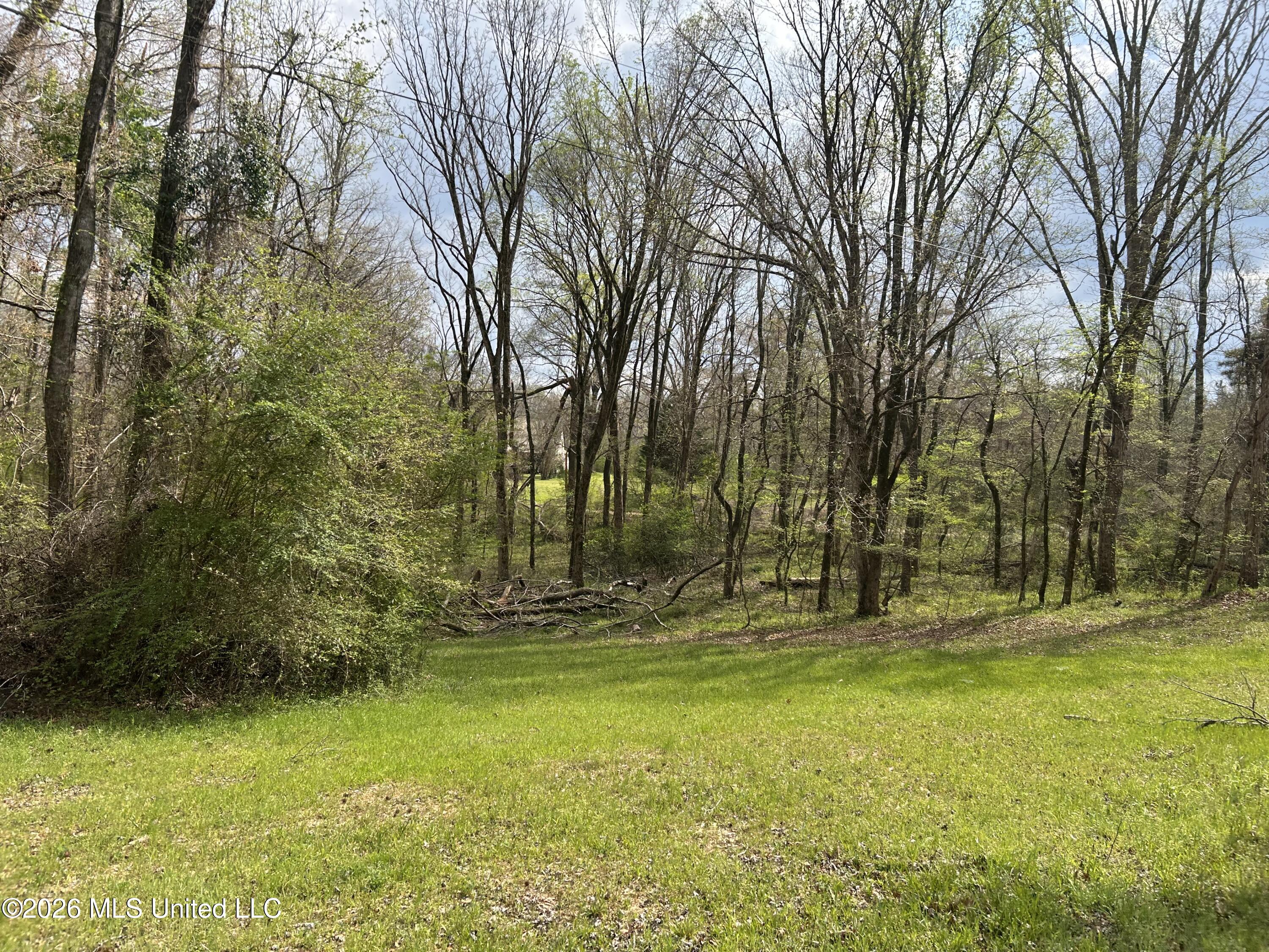1356 Jeff Dodd Road West, MS 39192 - Photo 5 of 73 4
