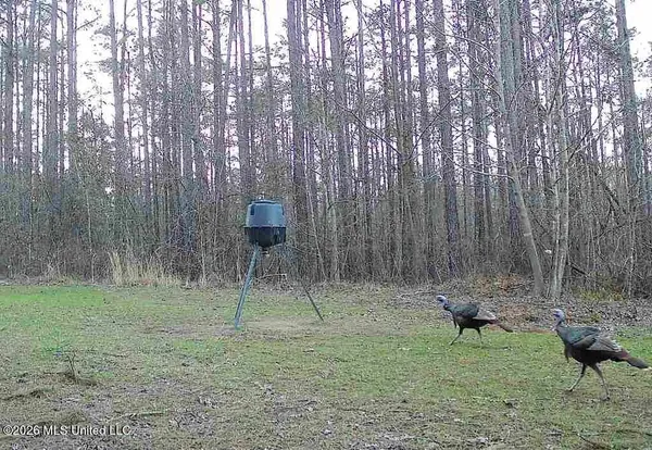 $309,900 | 1356 Jeff Dodd Road, West, MS 39192