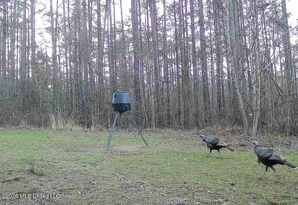 1356 Jeff Dodd Road West, MS 39192 - Photo 52 of 73 1000003342