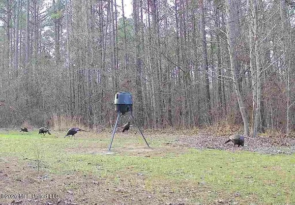 $309,900 | 1356 Jeff Dodd Road, West, MS 39192