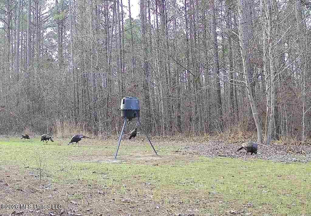 1356 Jeff Dodd Road West, MS 39192 - Photo 53 of 73 1000003343