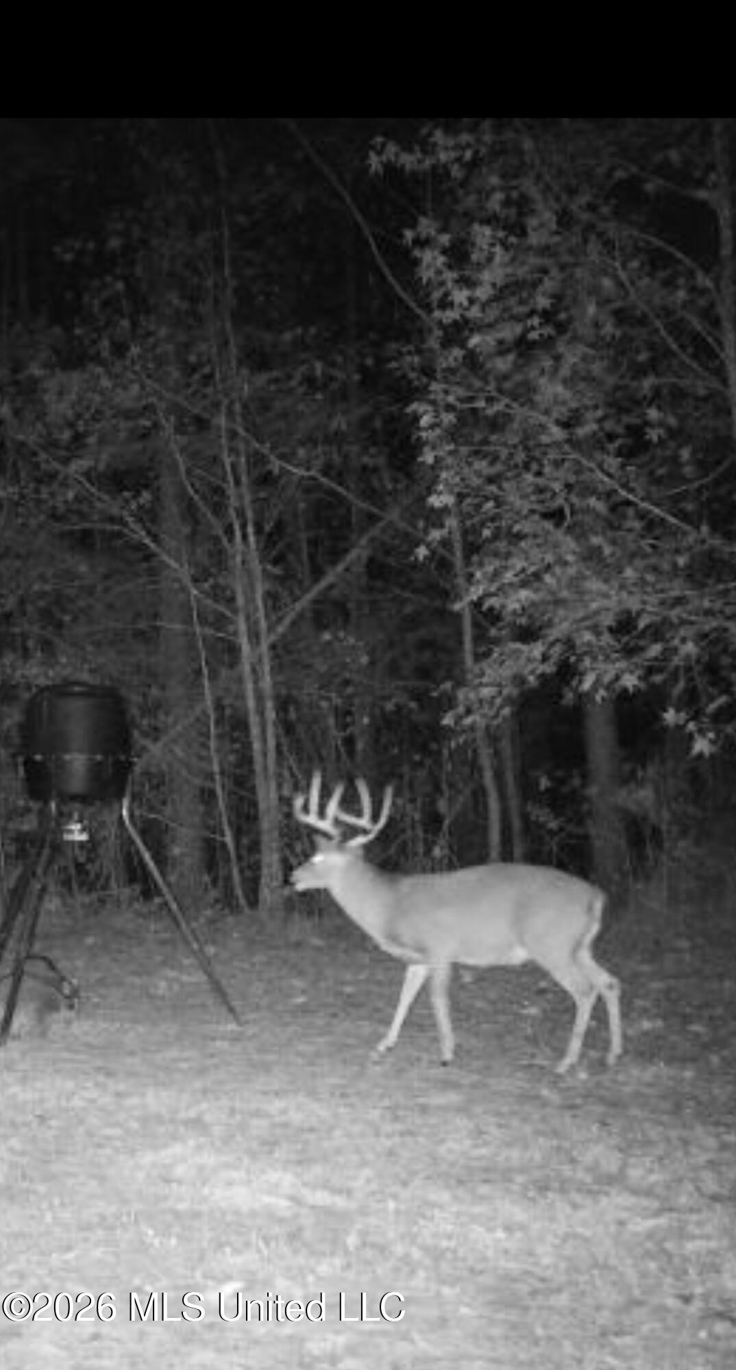 1356 Jeff Dodd Road West, MS 39192 - Photo 54 of 73 IMG_2782