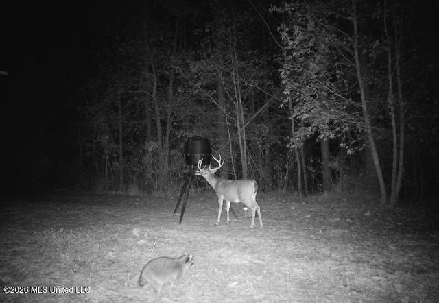 1356 Jeff Dodd Road West, MS 39192 - Photo 55 of 73 IMG_2785
