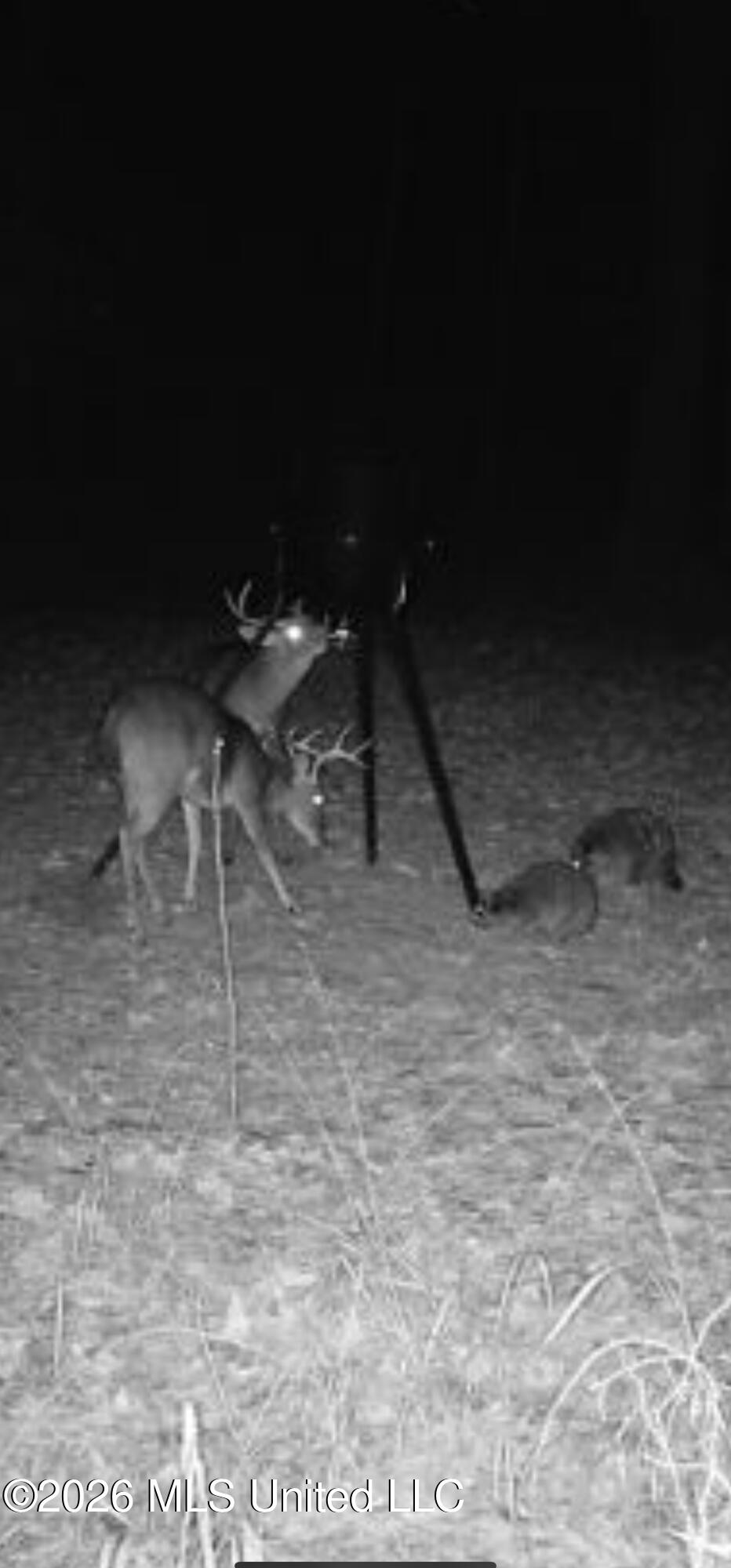 1356 Jeff Dodd Road West, MS 39192 - Photo 56 of 73 IMG_2807