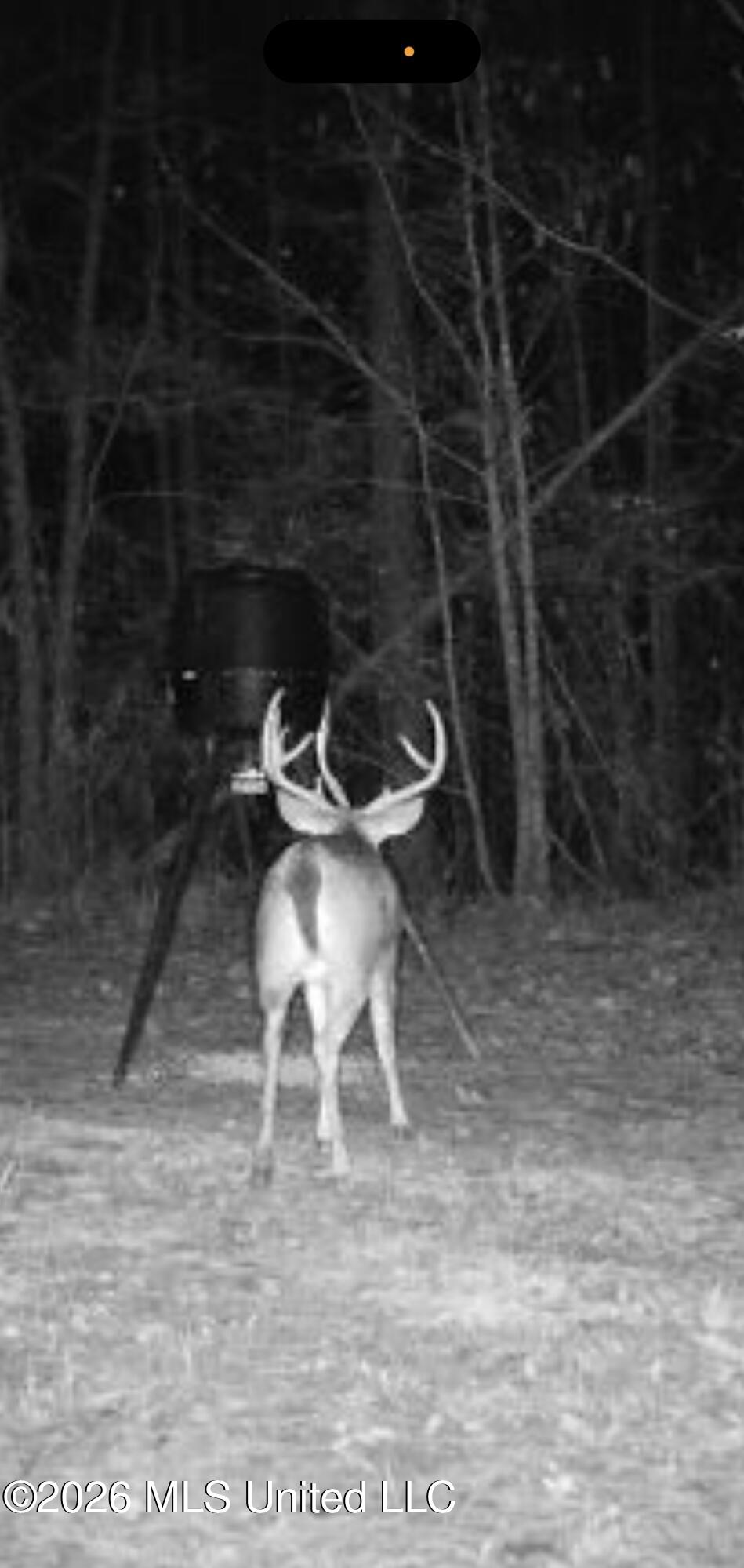 1356 Jeff Dodd Road West, MS 39192 - Photo 57 of 73 IMG_3105