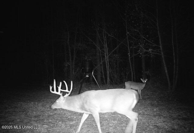 1356 Jeff Dodd Road West, MS 39192 - Photo 58 of 73 IMG_3154