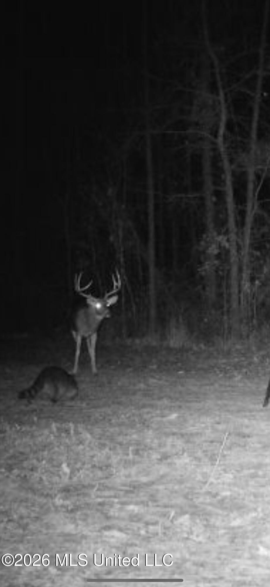 1356 Jeff Dodd Road West, MS 39192 - Photo 59 of 73 IMG_3162