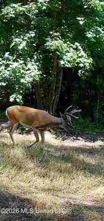 $309,900 | 1356 Jeff Dodd Road, West, MS 39192