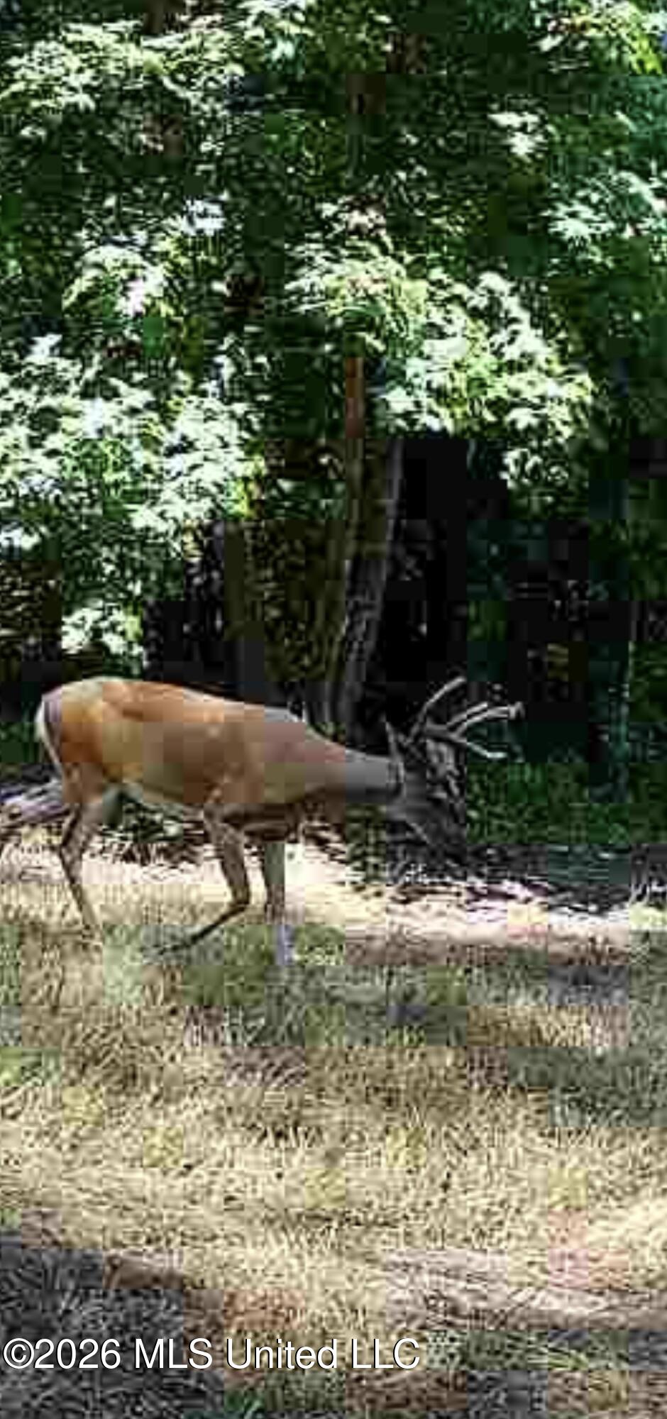 1356 Jeff Dodd Road West, MS 39192 - Photo 60 of 73 IMG_5354
