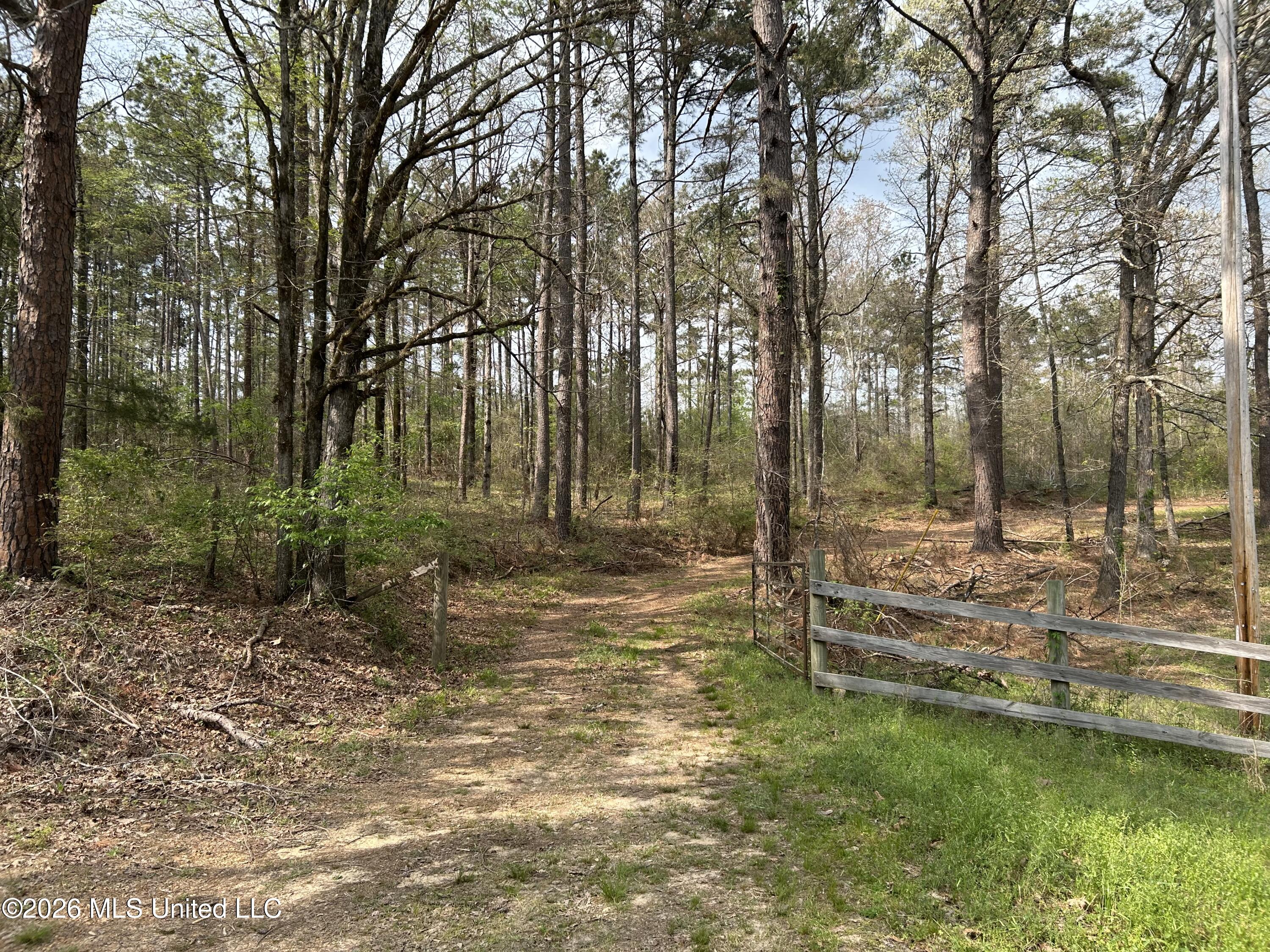 1356 Jeff Dodd Road West, MS 39192 - Photo 6 of 73 5