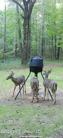 $309,900 | 1356 Jeff Dodd Road, West, MS 39192