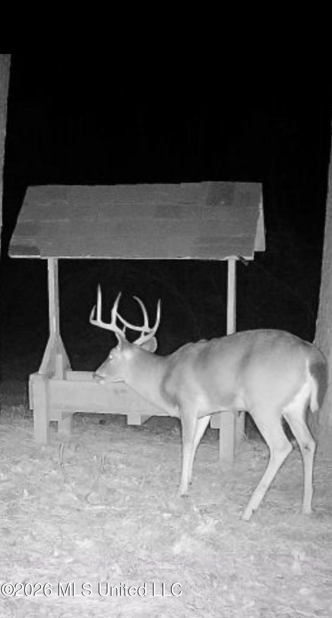 1356 Jeff Dodd Road West, MS 39192 - Photo 63 of 73 IMG_8621