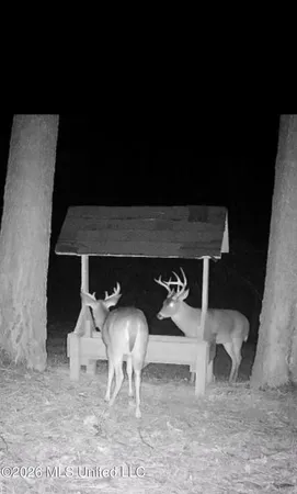 $309,900 | 1356 Jeff Dodd Road, West, MS 39192