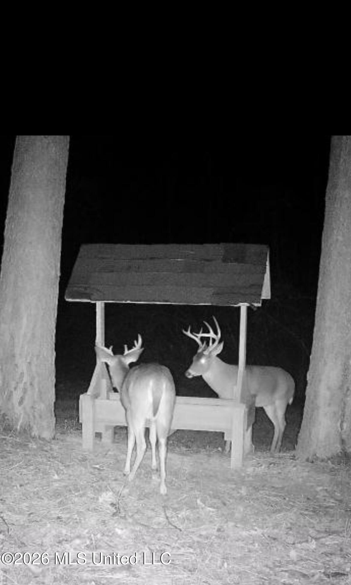 1356 Jeff Dodd Road West, MS 39192 - Photo 64 of 73 IMG_8638