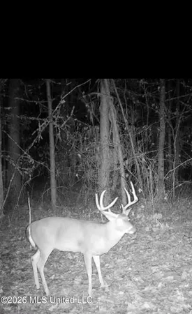 $309,900 | 1356 Jeff Dodd Road, West, MS 39192