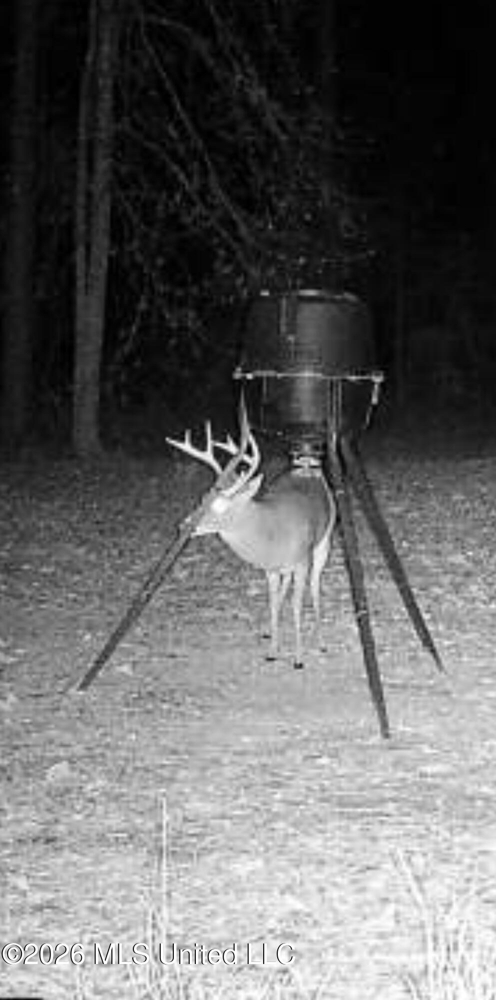 1356 Jeff Dodd Road West, MS 39192 - Photo 66 of 73 IMG_8746