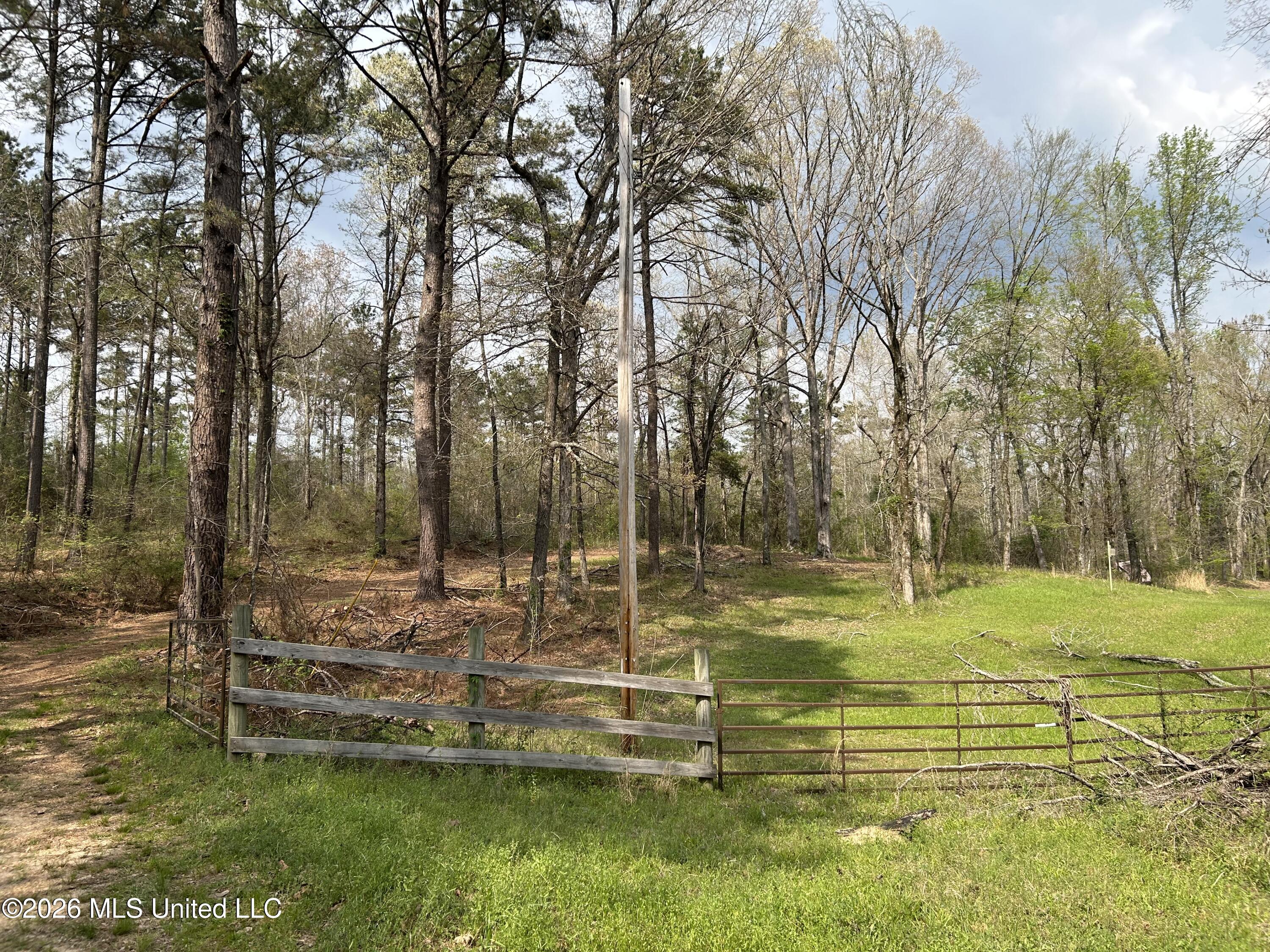 1356 Jeff Dodd Road West, MS 39192 - Photo 7 of 73 6