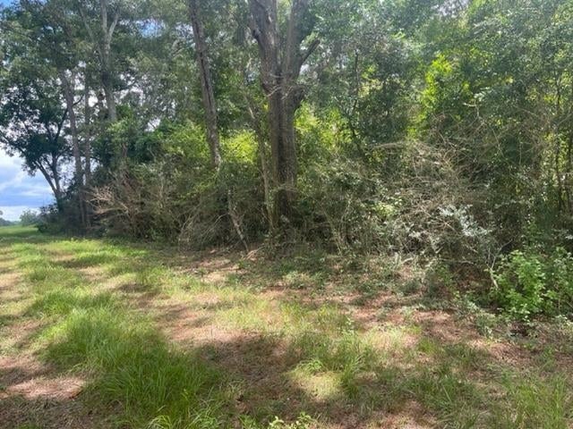 0 Rockhole Bridge Road Andalusia, AL 36420 - Photo 2 of 5 Gallery Image 2