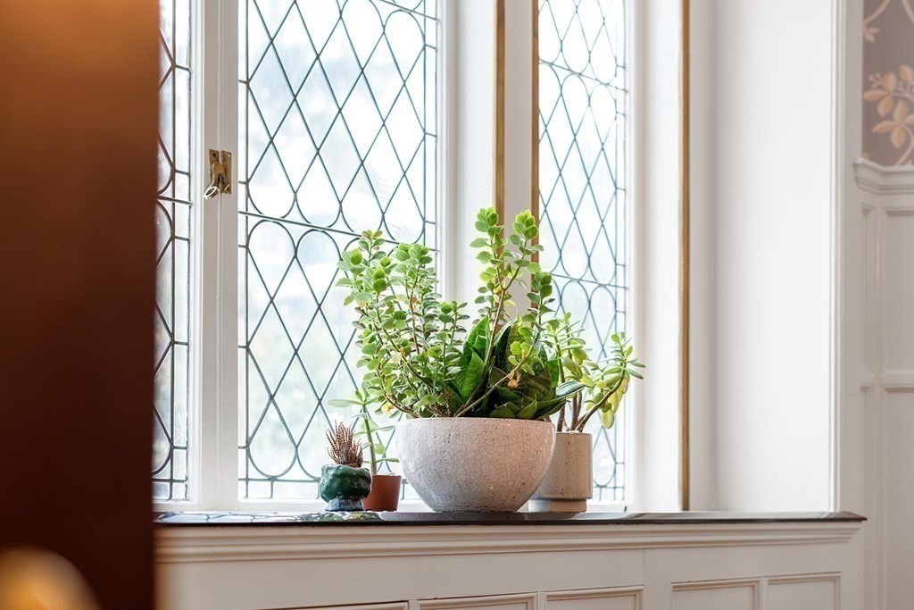 37 Circuit Road Brookline, MA 02467 - Photo 13 of 37 a view of a window with a vase and flowers on it