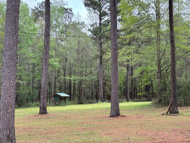 Tbd Ellis Dillon Road Tylertown, MS 39667 - Photo 33 of 46 Photo 33