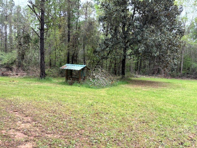 Tbd Ellis Dillon Road Tylertown, MS 39667 - Photo 36 of 46 Food plot