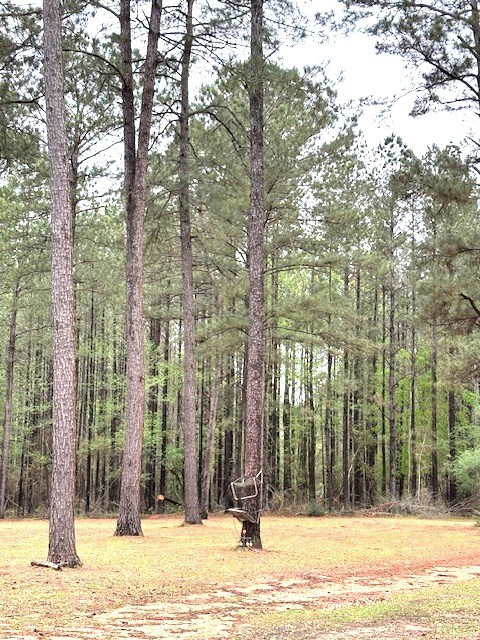 Tbd Ellis Dillon Road Tylertown, MS 39667 - Photo 38 of 46 Photo 38