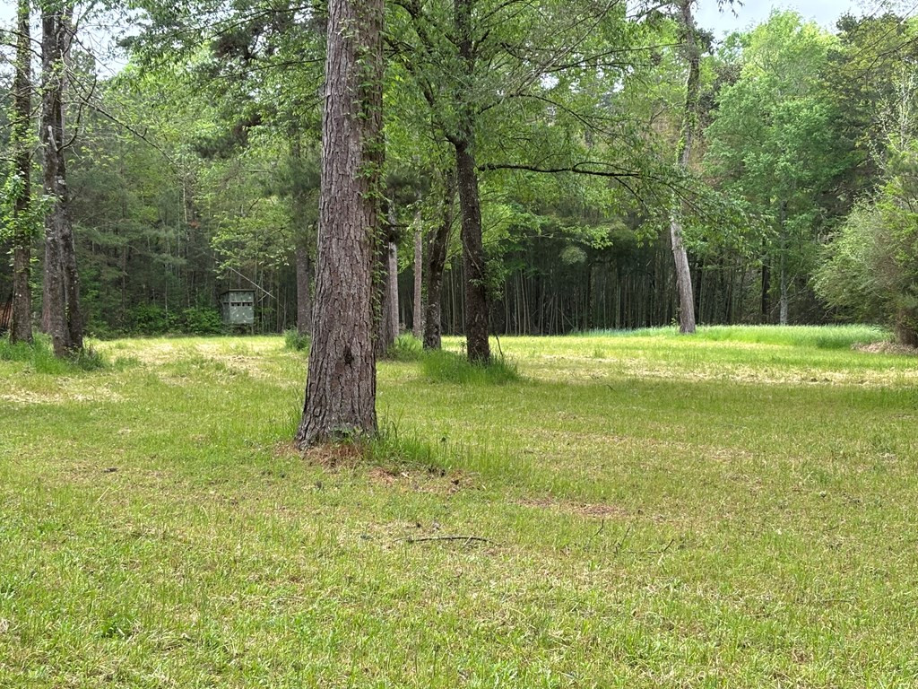 Tbd Ellis Dillon Road Tylertown, MS 39667 - Photo 40 of 46 Photo 40