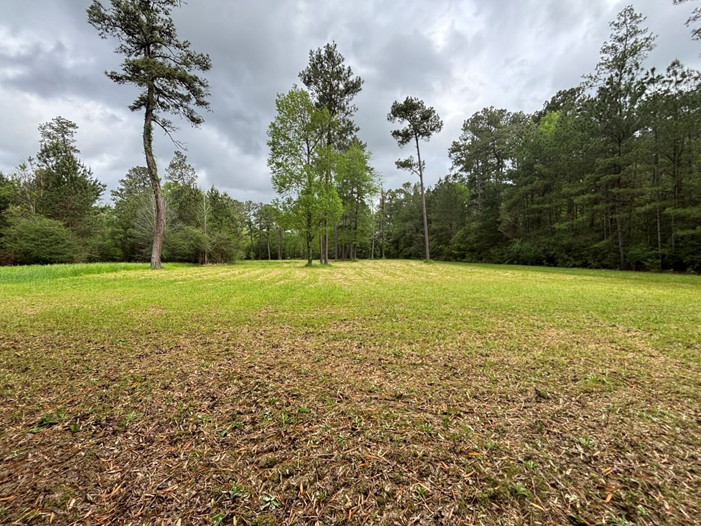 Tbd Ellis Dillon Road Tylertown, MS 39667 - Photo 44 of 46 Photo 44