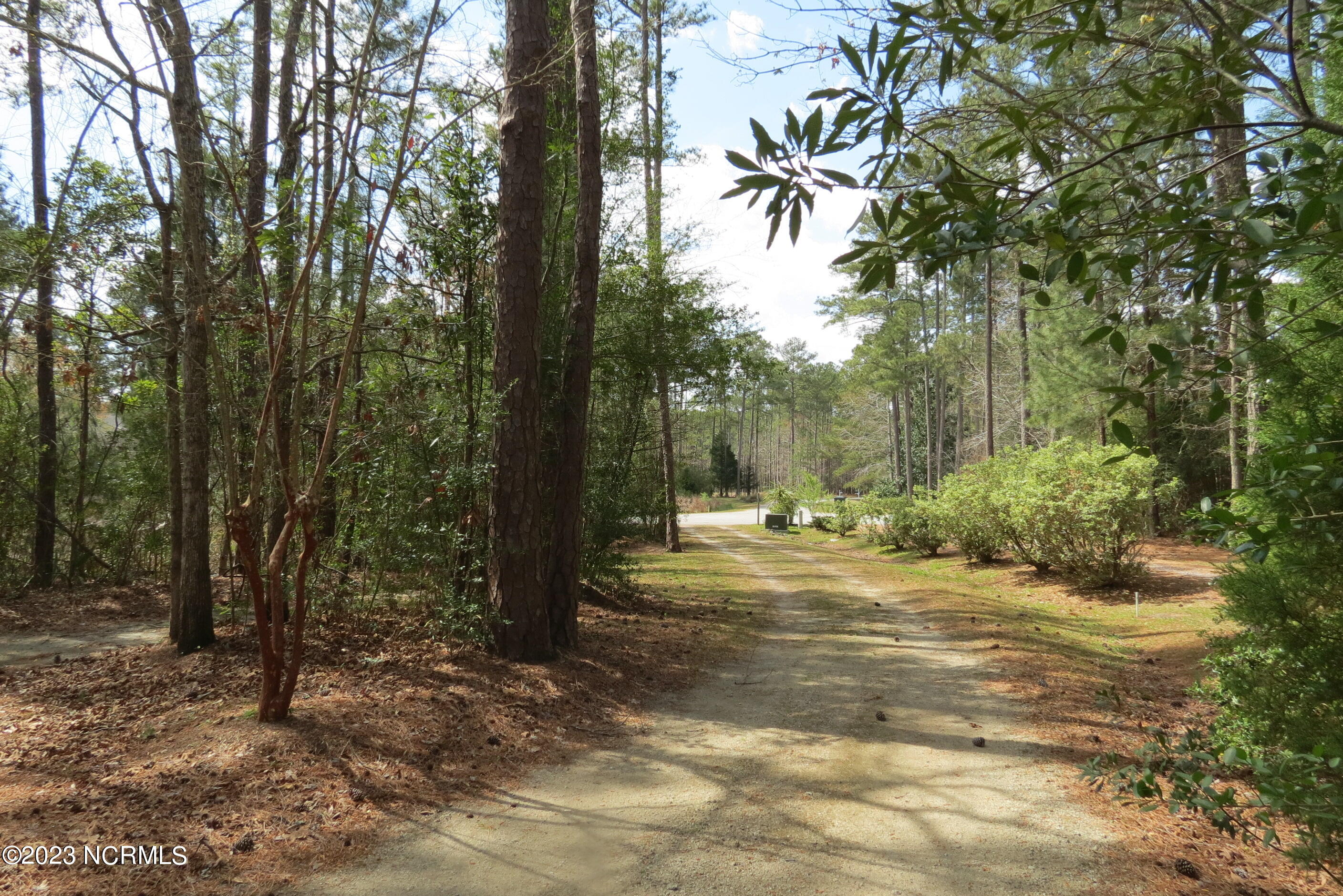 650 Quail Road Merritt, NC 28556 - Photo 51 of 67 IMG_8409
