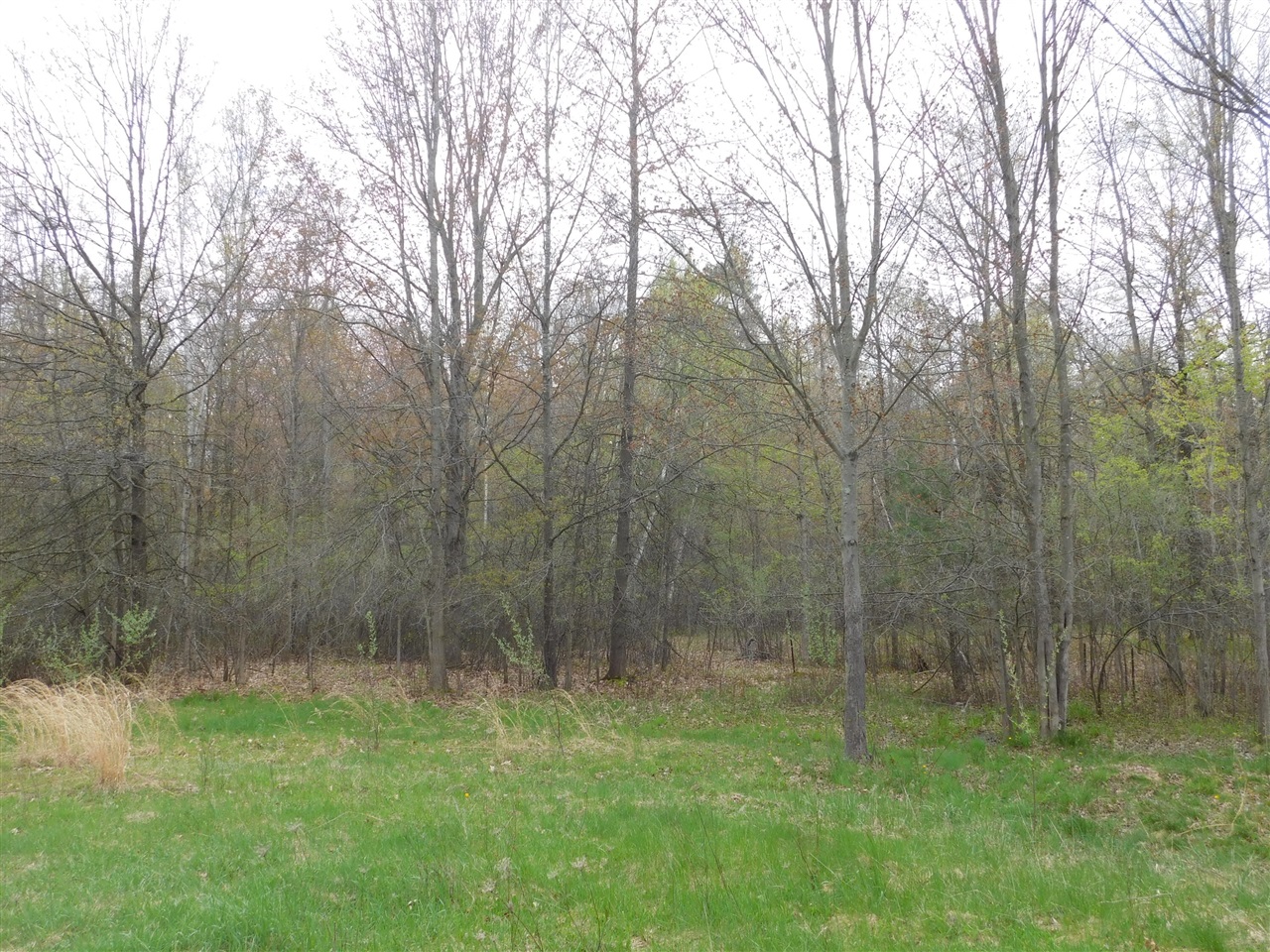 14540 Schroeder Road St. Charles, MI 48655 - Photo 25 of 45