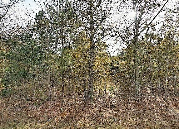 4386 Williston Road Windsor, SC 29856 - Photo 1 of 3 Main View