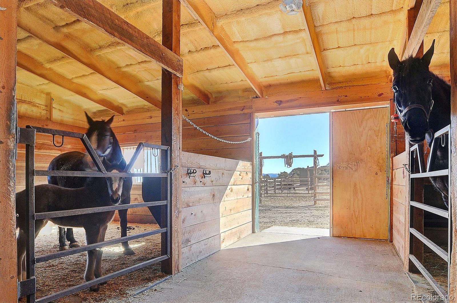 1700 Mitchell Mountain Road Westcliffe, CO 81252 - Photo 25 of 40 a view of entryway