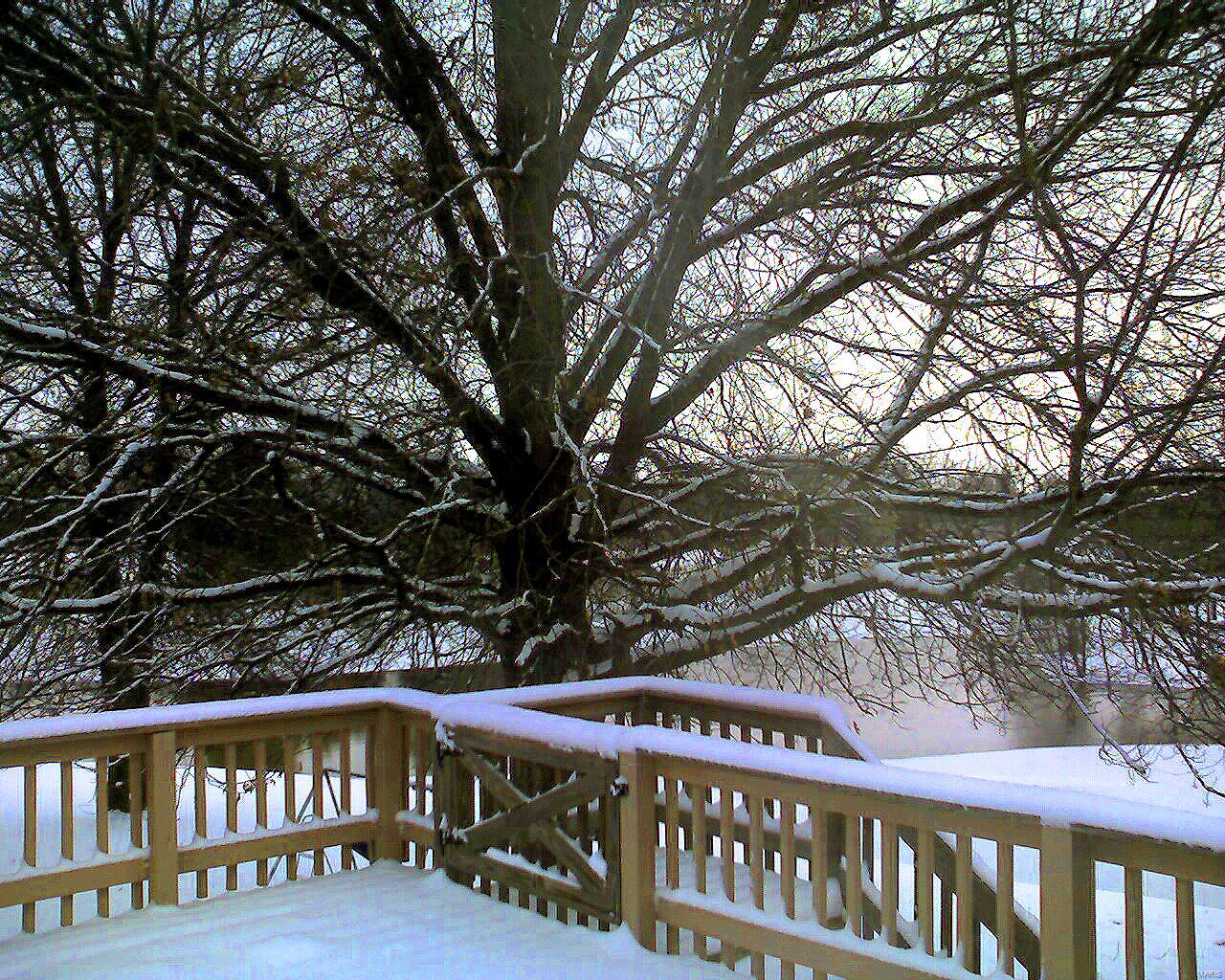 7343 Pin Oak Road Edwardsville, IL 62025 - Photo 85 of 92 Gallery Image 85