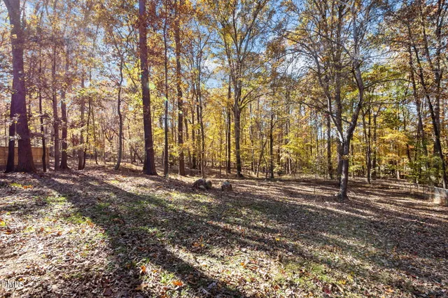 a view of road with trees