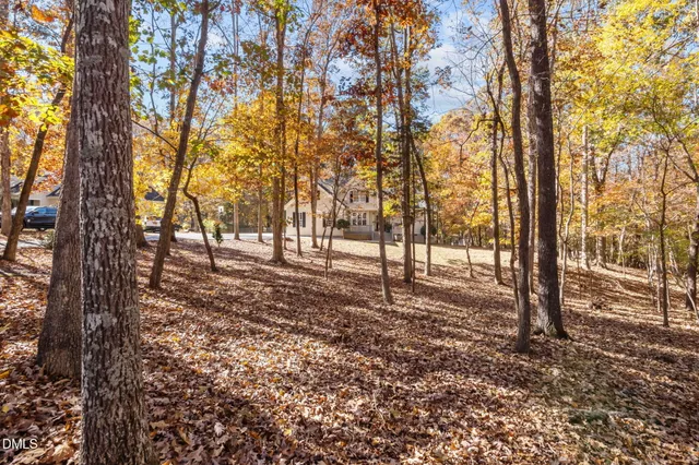 a view of outdoor space with lots of trees