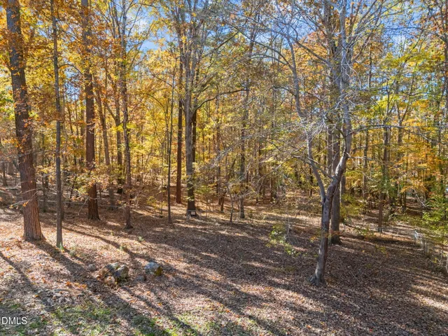 a view of outdoor space with trees