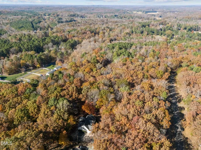 an aerial view of forest