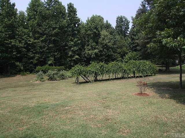 15969 Buffalo Road Clayton, NC 27527 - Photo 11 of 12 Yard