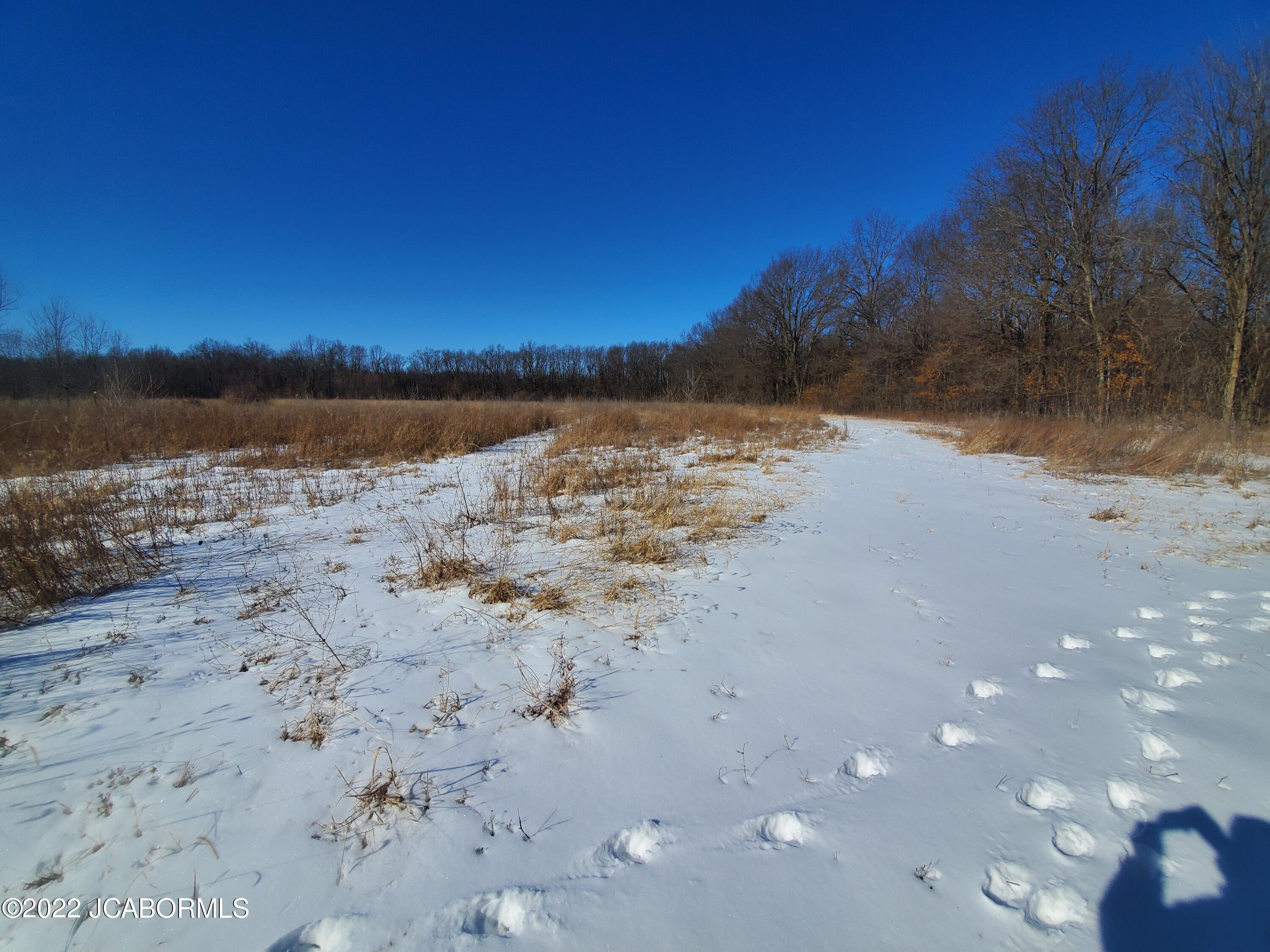 Tbd Campbell Road Green Ridge, MO 65332 - Photo 7 of 35