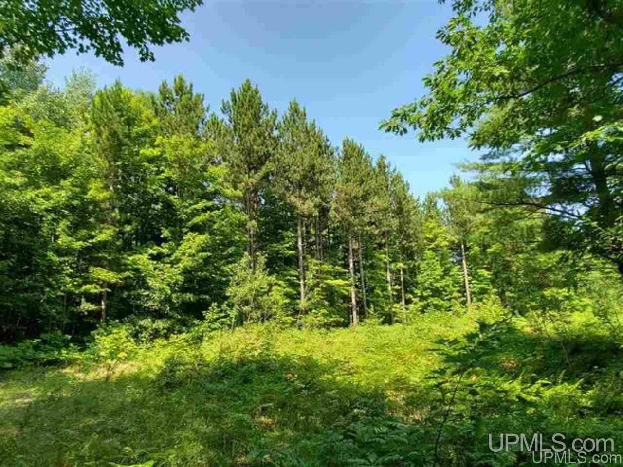 Tbd No 2-3 4 Obenhoff Road Atlantic Mine, MI 49905 - Photo 23 of 32