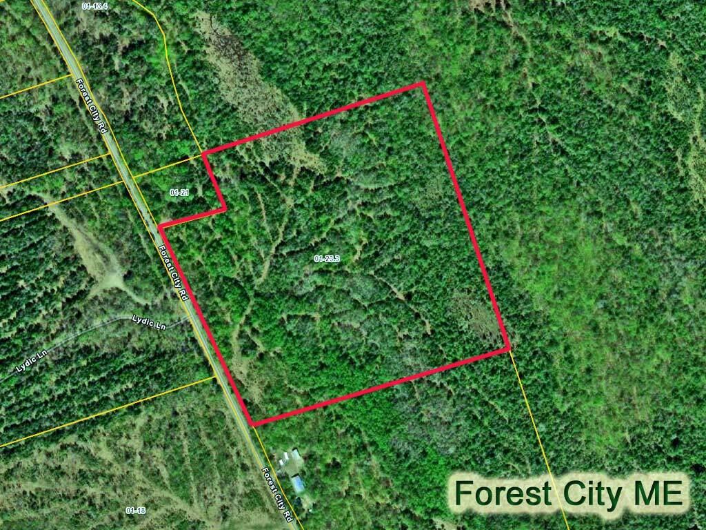 Lot 23.3 Forest City Road Brookton, ME 04413 - Photo 2 of 12 forest-city-land-40-acres