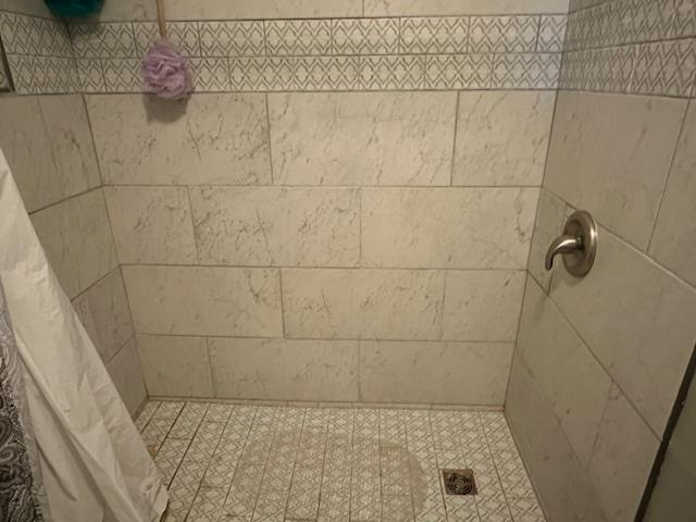1555 Rich Road Savannah, TN 38372 - Photo 8 of 18 Bathroom featuring a tile shower