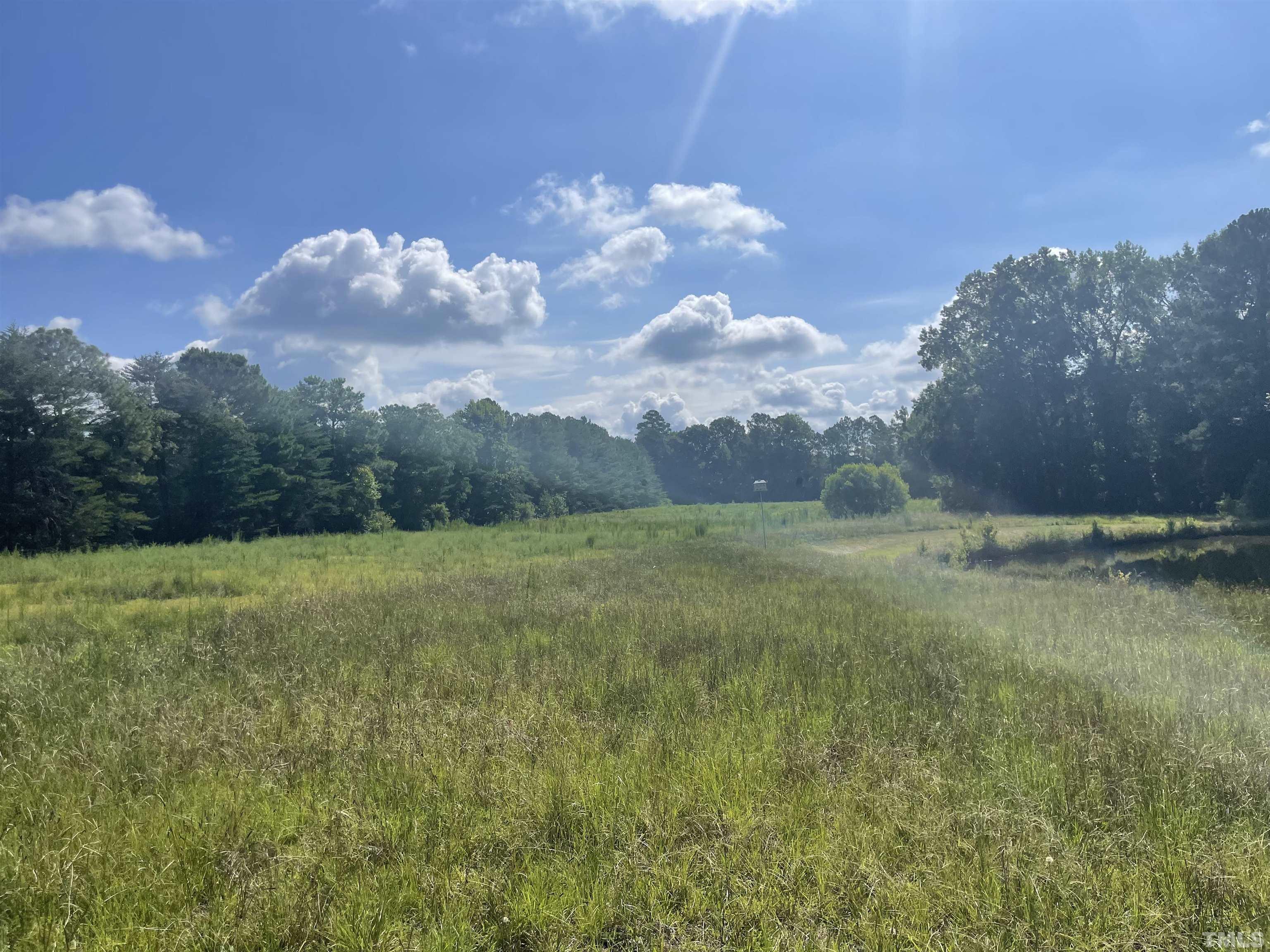 4978 Zacks Mill Road Angier, NC 27501 - Photo 3 of 11 a view of a big yard with large trees